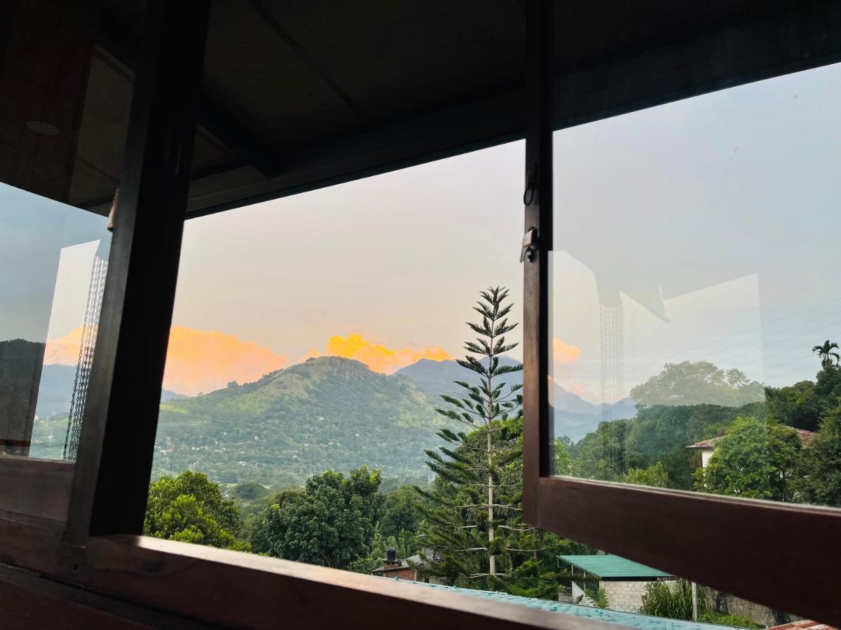 360 View *